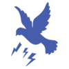 bird-shock