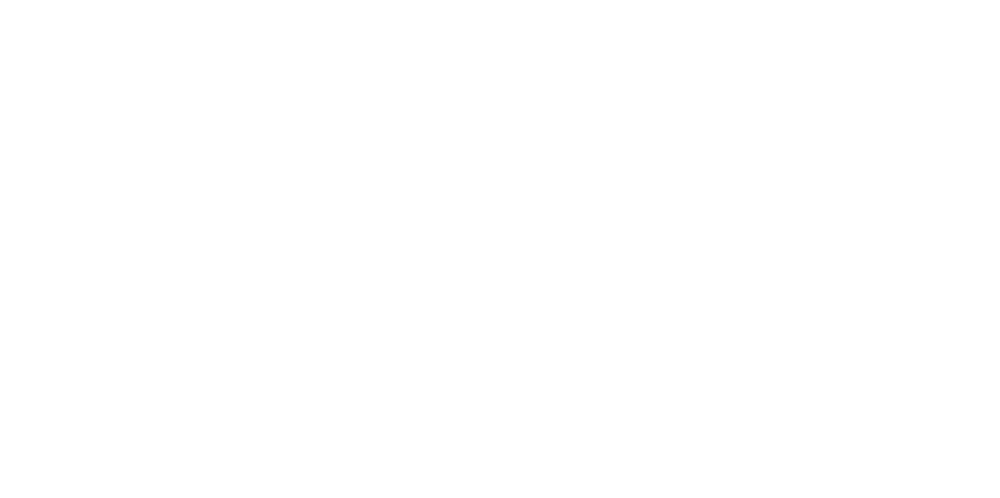 1icon