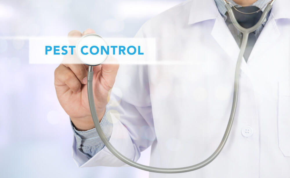 What You Need to Know About Pest Control in Healthcare Facilities