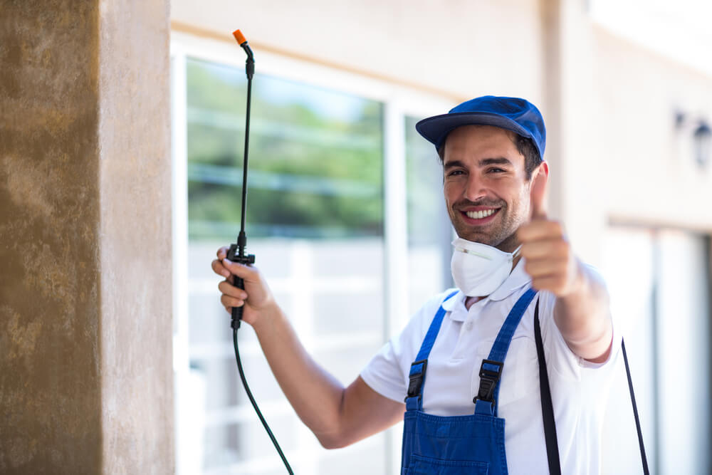 Pest-control-professionals