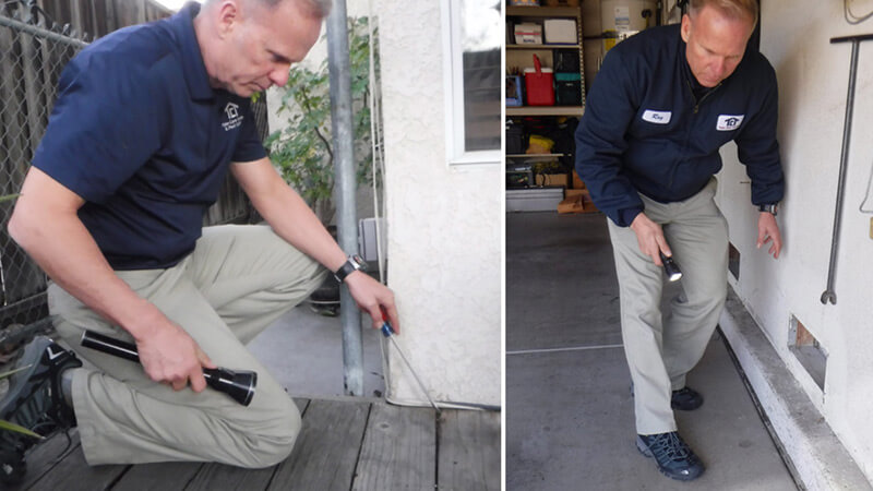 8 Signs You Need a Year Round Pest Control Service in Tracy, CA
