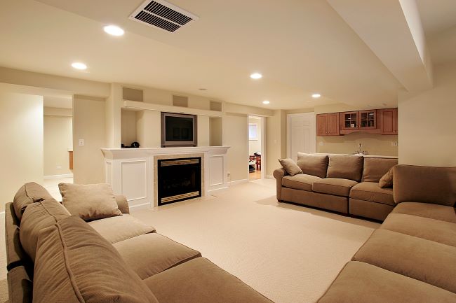 How to Prevent Basement Bugs and Pests