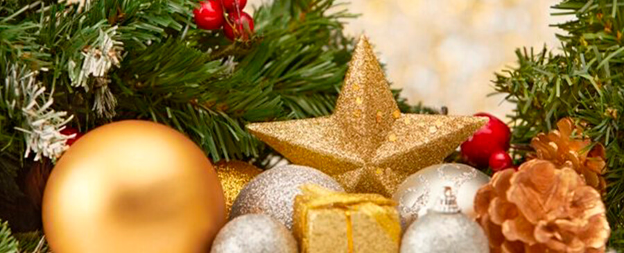 How to Have Pest-Free Celebrations This Festive Season old