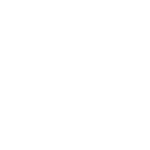 Fly-shape