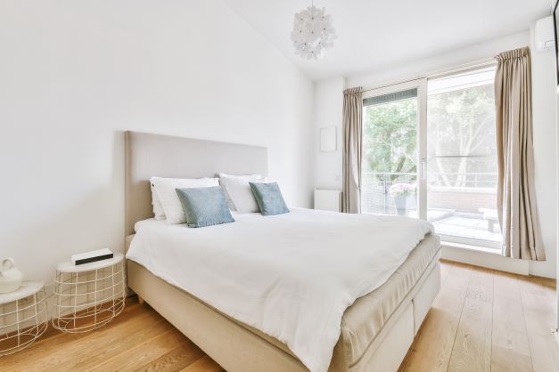 How to Get Rid of Bed Bugs in a Mattress