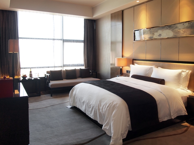 What Are The Most Common Pests Found in Hotels