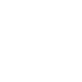 Post-inspection-iconwhite