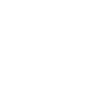 Pre-inspection-icon-white