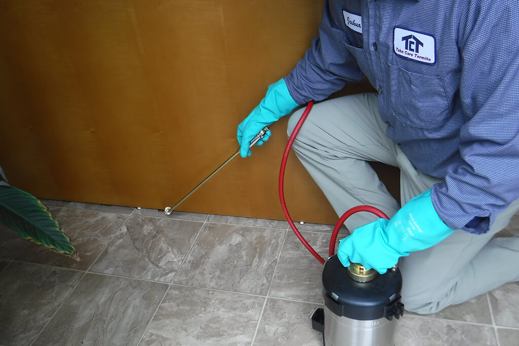 Residential-pest-control