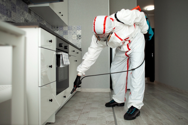 Roach-control-in-apartments