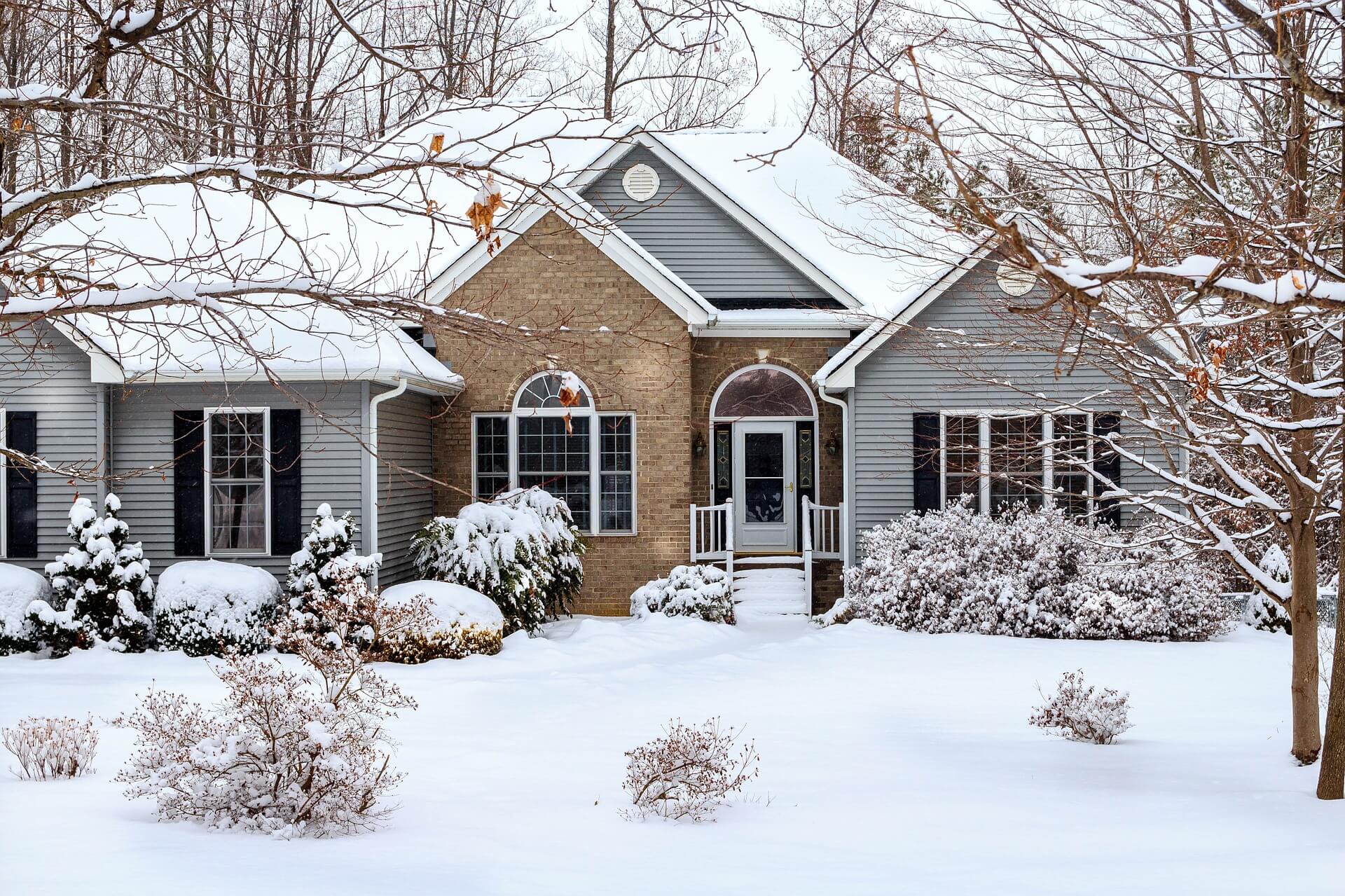 5 Reasons Your Home Needs Winter Pest Control