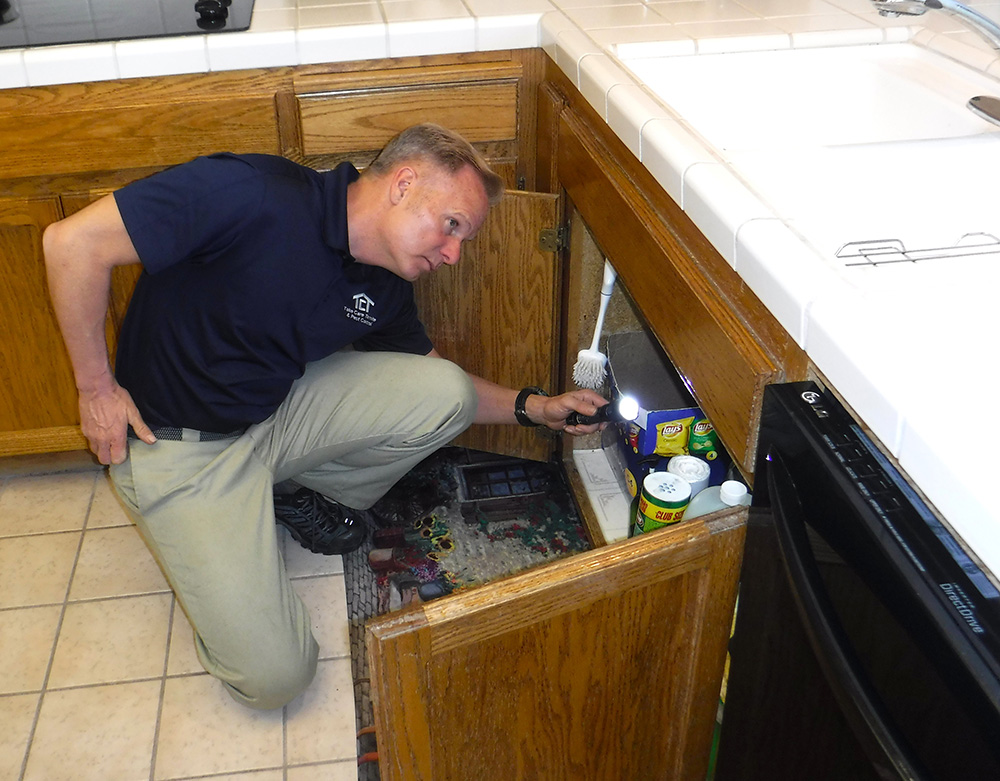Ray Inspecting-1000x781