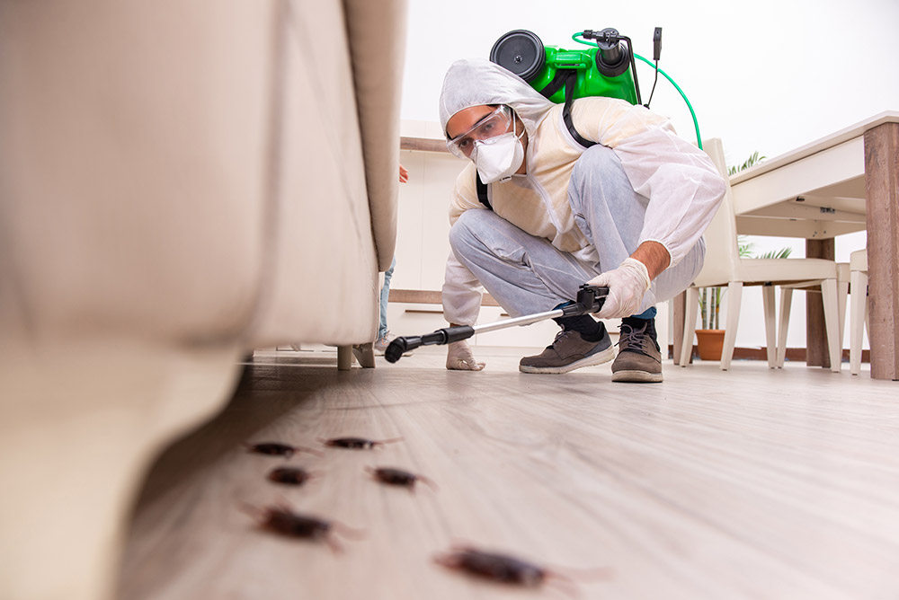 Res Cockroach Control