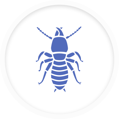 Termite Control